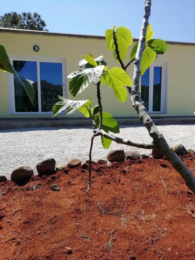 La Casa Dei Fichi *